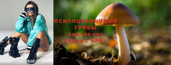 спайс Белоозёрский