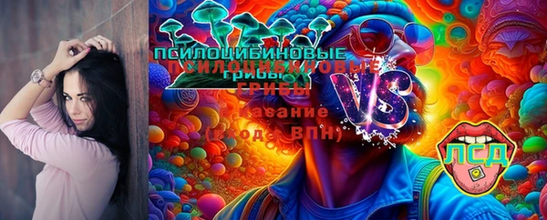 MDMA Беломорск