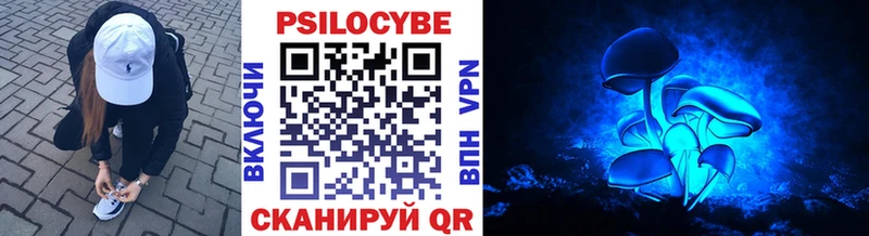 Галлюциногенные грибы Psilocybe  где купить наркоту  Кудрово 